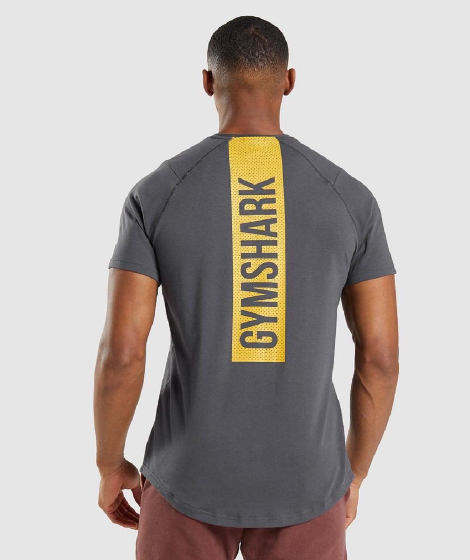 Gymshark Bold Muške T Shirts Crne Sive | HR 2441SGL